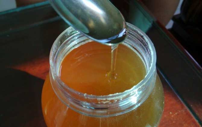 女性喝鴨腳木蜜好嗎(鴨腳木蜜的營養價值) 女性喝鴨腳木蜜好嗎(鴨腳木蜜的營養價值)