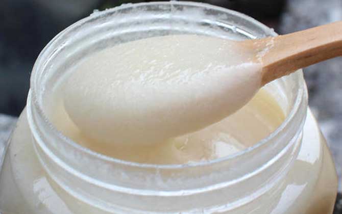 女性喝鴨腳木蜜好嗎(鴨腳木蜜的營養價值) 女性喝鴨腳木蜜好嗎(鴨腳木蜜的營養價值)