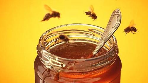 雪蜜是椴樹蜜么(椴樹蜜和雪蜜的區別)) 雪蜜是椴樹蜜么(椴樹蜜和雪蜜的區別))