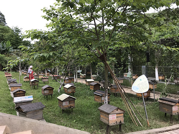 養蜂合作社有哪些補貼(成立養蜂合作社的條件和補貼申請) 養蜂合作社有哪些補貼(成立養蜂合作社的條件和補貼申請)