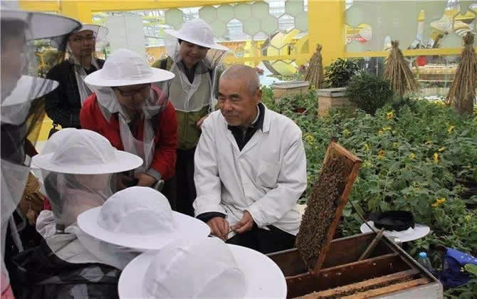 蜜蜂養(yǎng)殖技術(shù)