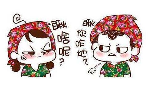 為什么東北人都覺得自己“妹油口音” “沒存在感”的地方方言,不僅全國人民能聽懂,老外也知道啥意思