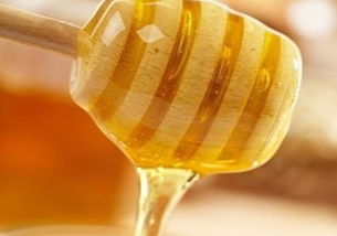 如何分辨工蜂產(chǎn)卵和蜂王產(chǎn)卵(工蜂和蜂王產(chǎn)卵的區(qū)別) 如何分辨工蜂產(chǎn)卵和蜂王產(chǎn)卵(工蜂和蜂王產(chǎn)卵的區(qū)別)