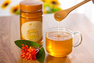 蜂王漿不能喝什么一起吃(吃蜂王漿的禁忌) 蜂王漿不能喝什么一起吃(吃蜂王漿的禁忌)