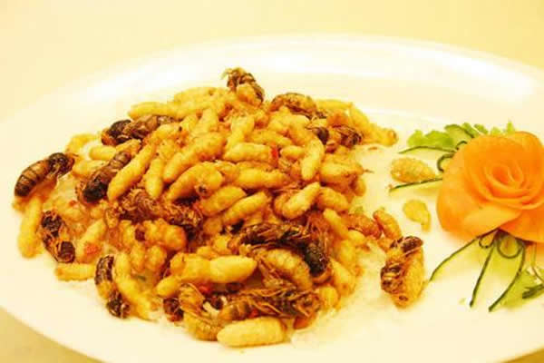 【蜜蜂知識(shí)】蜂蛹和蠶蛹的區(qū)別 蜂蛹和蠶蛹的區(qū)別