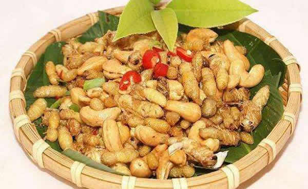 【蜜蜂知識(shí)】蜂蛹和蠶蛹的區(qū)別 蜂蛹和蠶蛹的區(qū)別