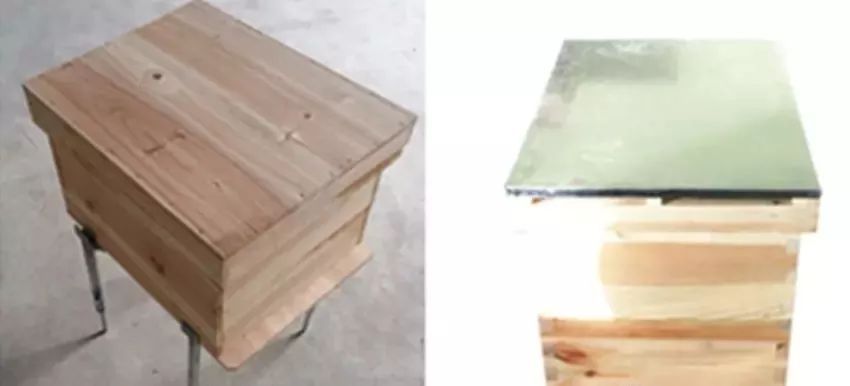 蜜蜂蜂群如何避免春寒(蜜蜂蜂群春季管理方案) 蜜蜂蜂群如何避免春寒(蜜蜂蜂群春季管理方案)