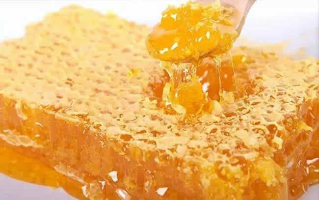 【蜜蜂知識】什么是蜜蜂巢脾? 什么是蜜蜂巢脾?