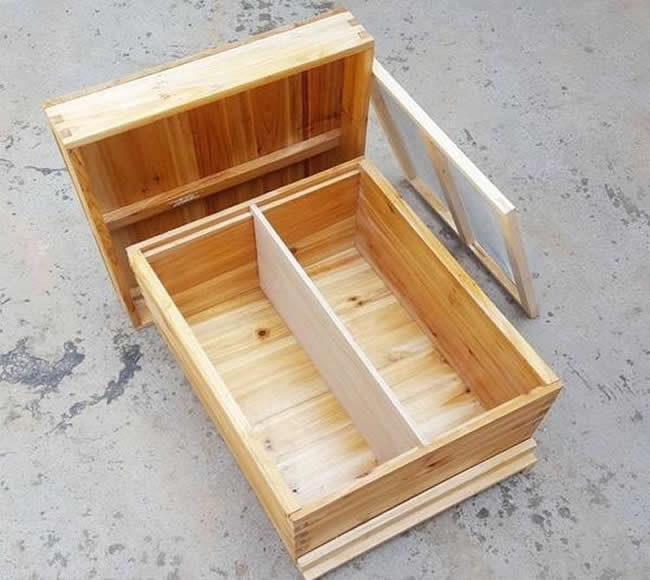 什么樣的蜂群不能采用標(biāo)準(zhǔn)活框蜂箱? 什么樣的蜂群不能采用標(biāo)準(zhǔn)活框蜂箱?