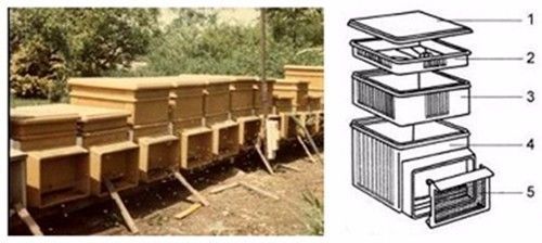 蜂場打了除草劑什么時(shí)候可以放中蜂（打過除草劑的地多久可以放蜜蜂）