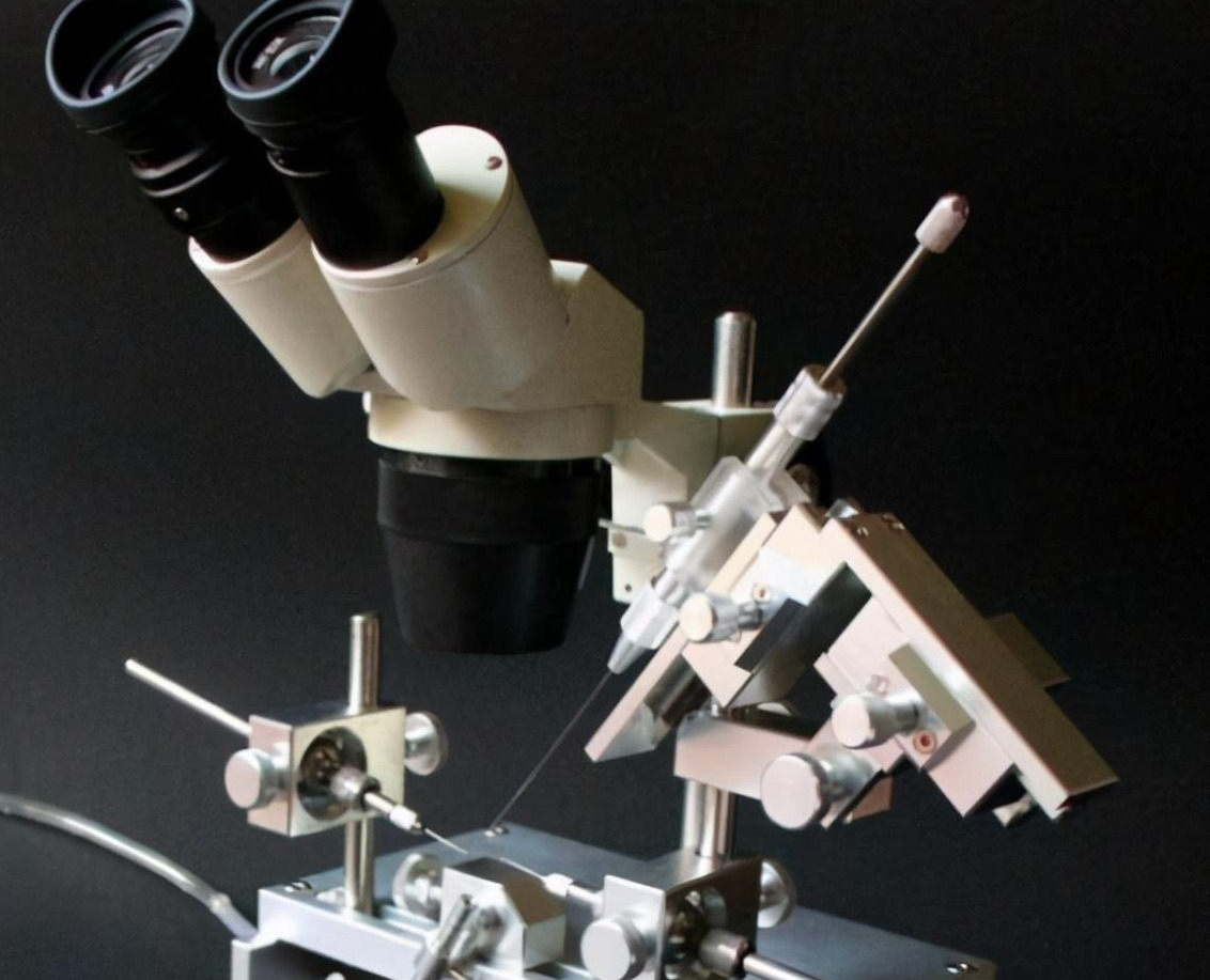 產雄蜂的王如何人工授精(蜂王人工授精技術視頻) 產雄蜂的王如何人工授精(蜂王人工授精技術視頻)