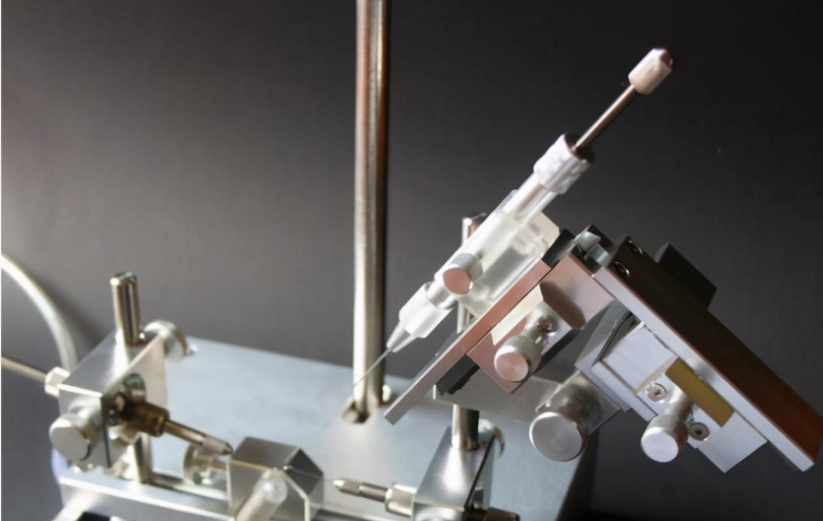 產雄蜂的王如何人工授精(蜂王人工授精技術視頻) 產雄蜂的王如何人工授精(蜂王人工授精技術視頻)