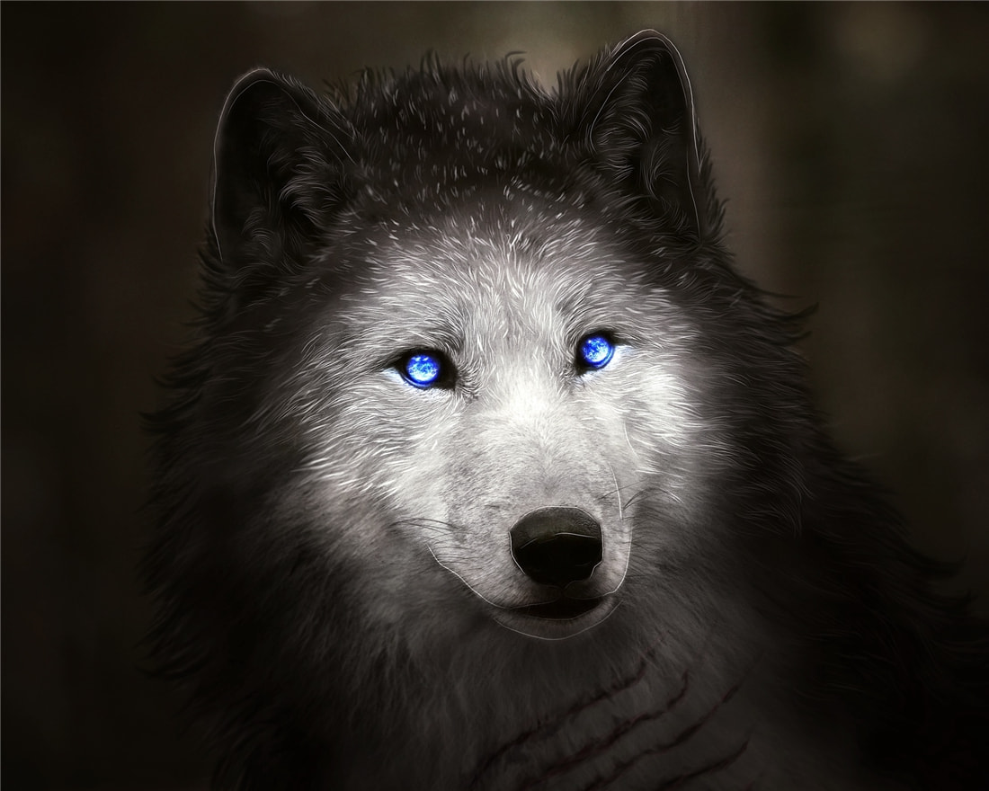 長白山多次出現“狽”，最早記載于西漢，奔跑時前腿搭在狼身上