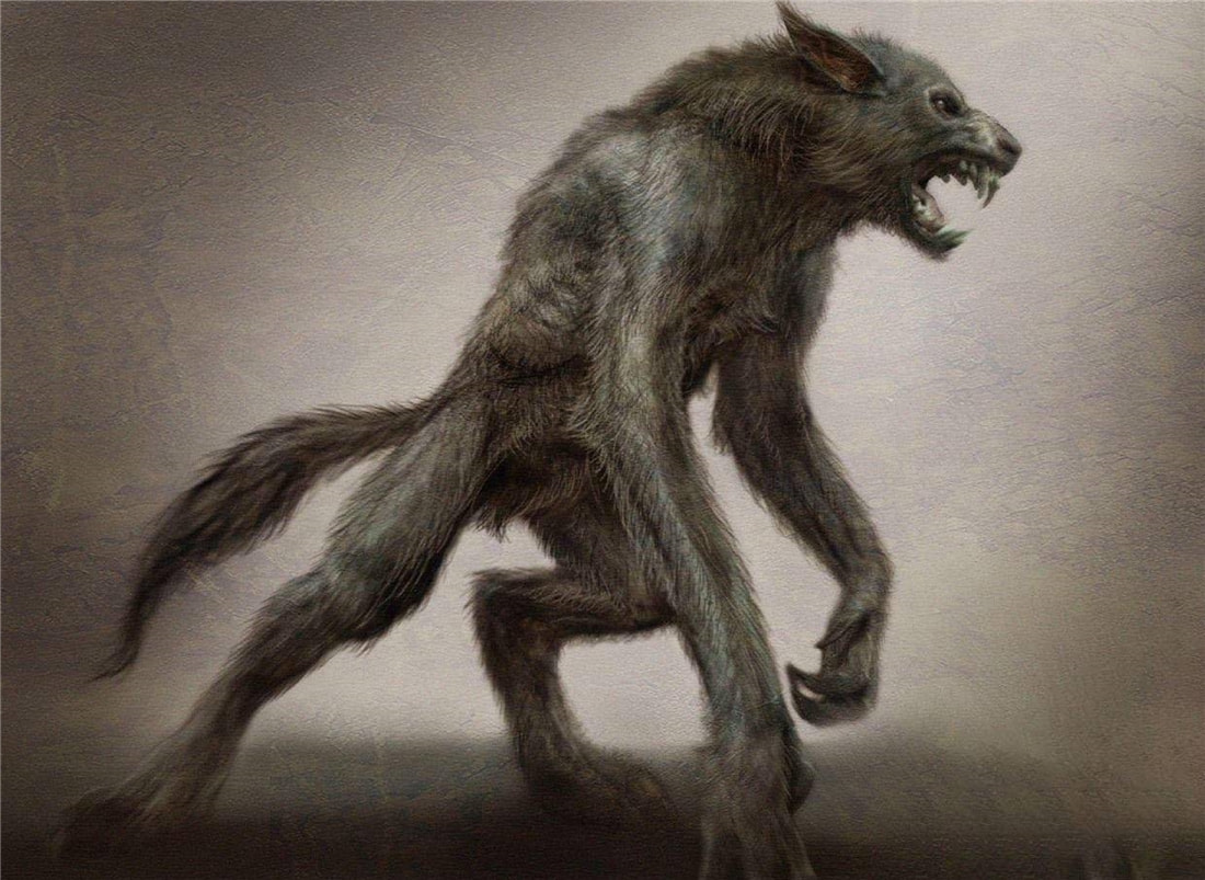 長白山多次出現“狽”，最早記載于西漢，奔跑時前腿搭在狼身上