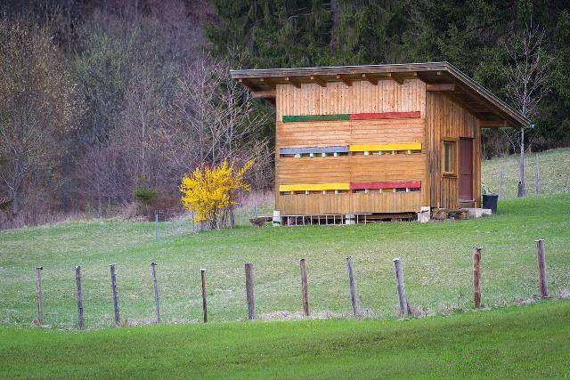 如何定地養(yǎng)殖蜜蜂(定地養(yǎng)蜂場(chǎng)地與模式選擇) 如何定地養(yǎng)殖蜜蜂(定地養(yǎng)蜂場(chǎng)地與模式選擇)