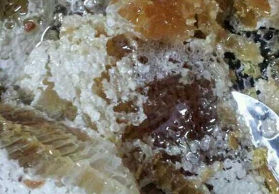 野生蜂蜜什么時(shí)候采集(野生蜜蜂什么時(shí)候取蜜最好) 野生蜂蜜什么時(shí)候采集(野生蜜蜂什么時(shí)候取蜜最好)