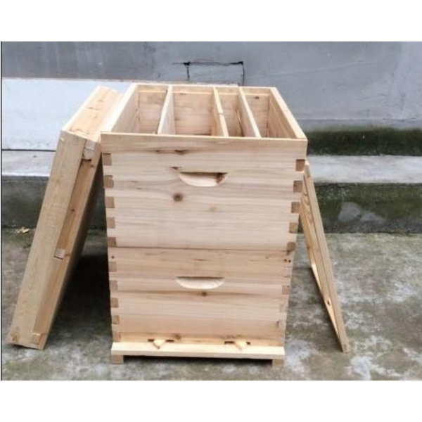 蜂脾是什么意思(一脾子脾能孵出多少次蜜蜂) 蜂脾是什么意思(一脾子脾能孵出多少次蜜蜂)