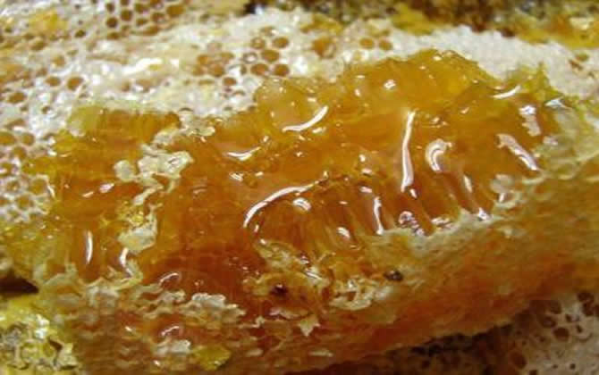 土蜂蜜市場價格 土蜂蜜市場價格