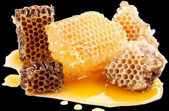 土蜂蜜和普通蜂蜜的區別 土蜂蜜和普通蜂蜜的區別