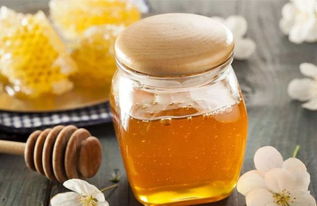 馬蜂用什么東西筑巢(馬蜂拿什么來做窩) 馬蜂用什么東西筑巢(馬蜂拿什么來做窩)