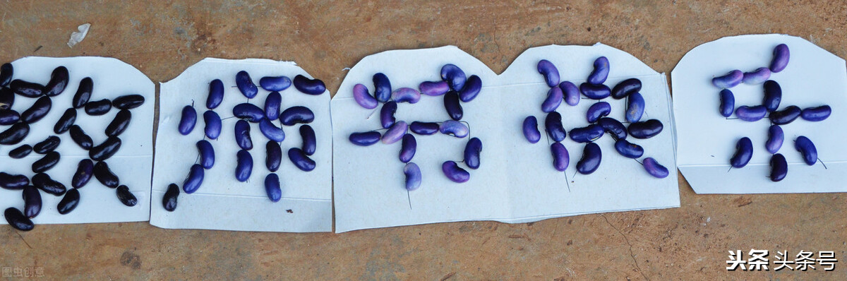 今天是教師節，你最想對老師說什么？