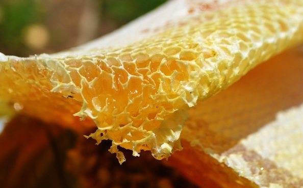 野蜂蜜價格多少錢一斤(各地正宗野蜂蜜的市場價格) 野蜂蜜價格多少錢一斤(各地正宗野蜂蜜的市場價格)