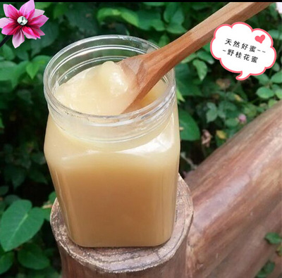 桂花樹有蜜源嗎(桂花樹蜜源植物介紹) 桂花樹有蜜源嗎(桂花樹蜜源植物介紹)