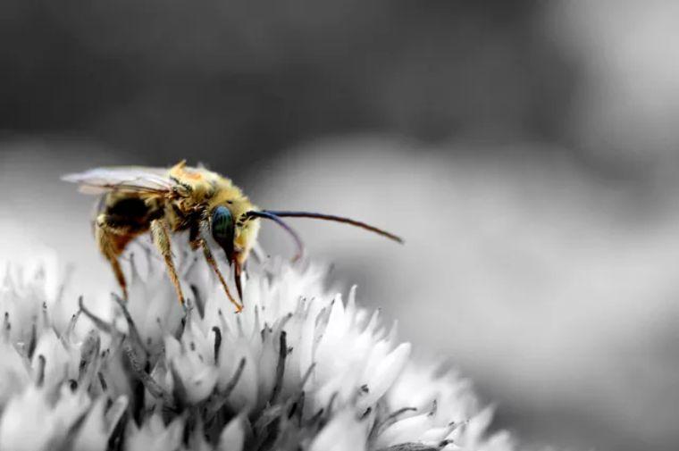 冬天會有螨蟲嗎(冬天螨蟲多還是夏天螨蟲多) 冬天會有螨蟲嗎(冬天螨蟲多還是夏天螨蟲多)