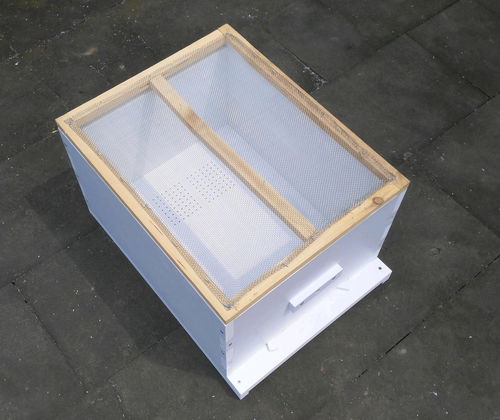 新手養蜜蜂死了是怎么回事(剛來的野蜂,不久全部死亡,什么原因) 新手養蜜蜂死了是怎么回事(剛來的野蜂,不久全部死亡,什么原因)