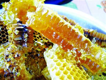 純正土蜂蜜多少錢一斤(正宗優質土蜂蜜價格) 純正土蜂蜜多少錢一斤(正宗優質土蜂蜜價格)