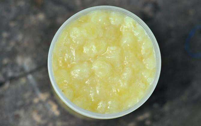 蜂王漿是哪種蜜蜂吃的（蜂王漿的營(yíng)養(yǎng)價(jià)值）