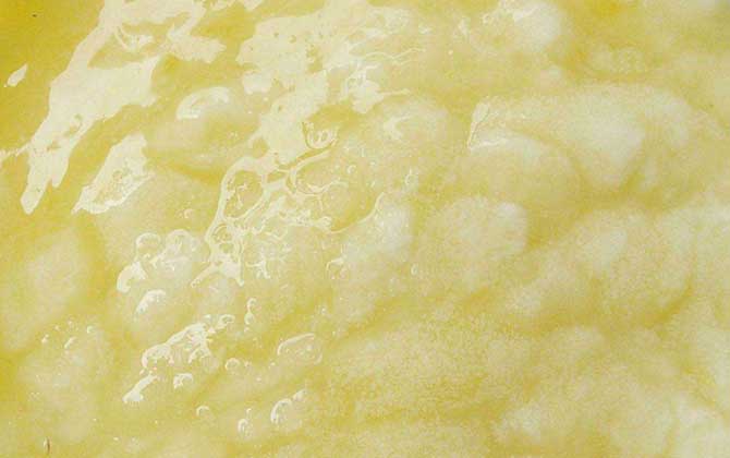 蜂王漿是哪種蜜蜂吃的（蜂王漿的營(yíng)養(yǎng)價(jià)值）