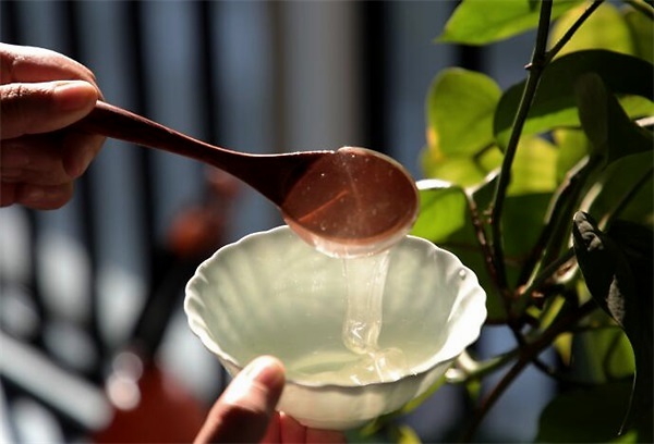 豆腐和蜂蜜可以一起吃嗎(蜂蜜和豆腐一起吃會怎么樣) 豆腐和蜂蜜可以一起吃嗎(蜂蜜和豆腐一起吃會怎么樣)