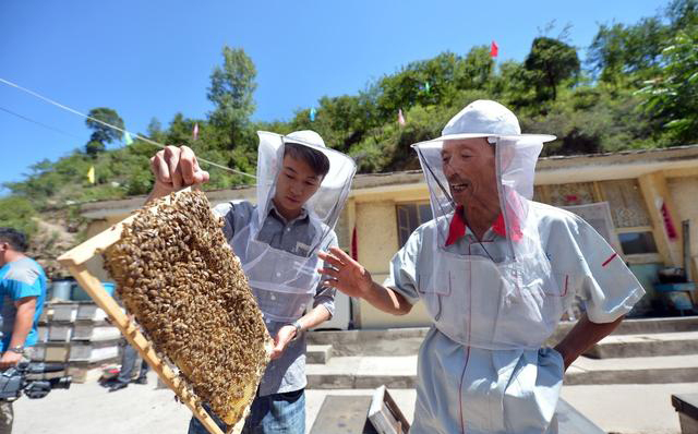 如何注冊養(yǎng)蜂公司（注冊公司步驟）