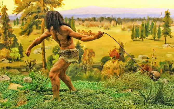 先有人類還是蜜蜂 先有人類還是蜜蜂