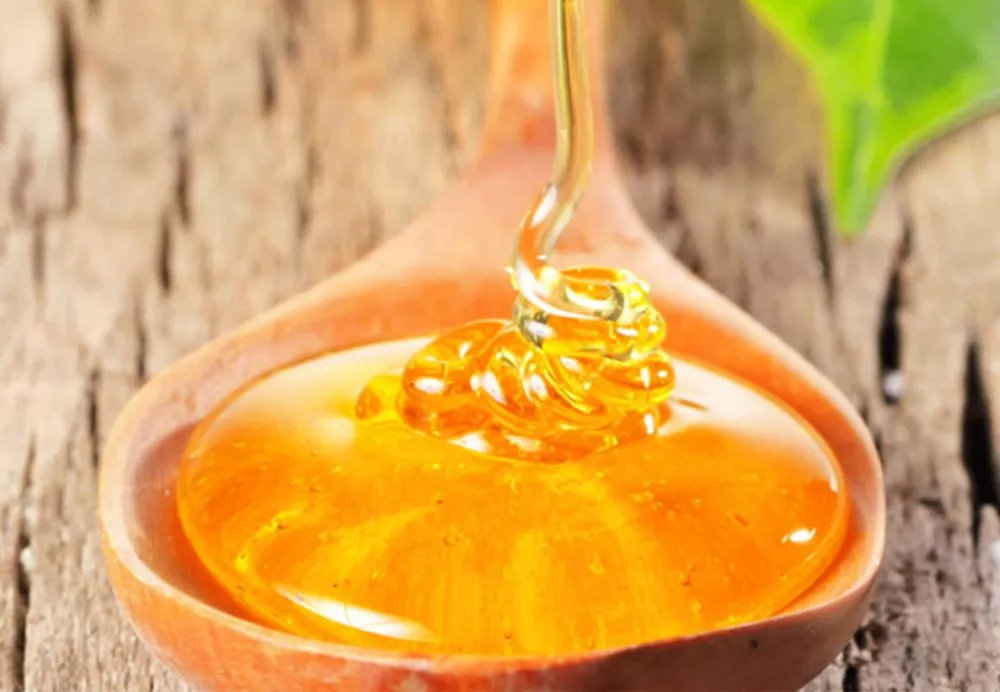 貴州有哪些主要的蜜源植物?(蜜源植物花期時間) 貴州有哪些主要的蜜源植物?(蜜源植物花期時間)