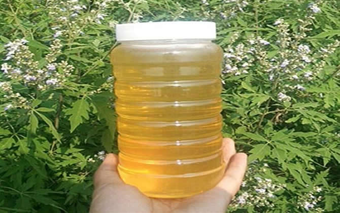 荊花蜜和槐花蜜哪個好 荊花蜜和槐花蜜哪個好