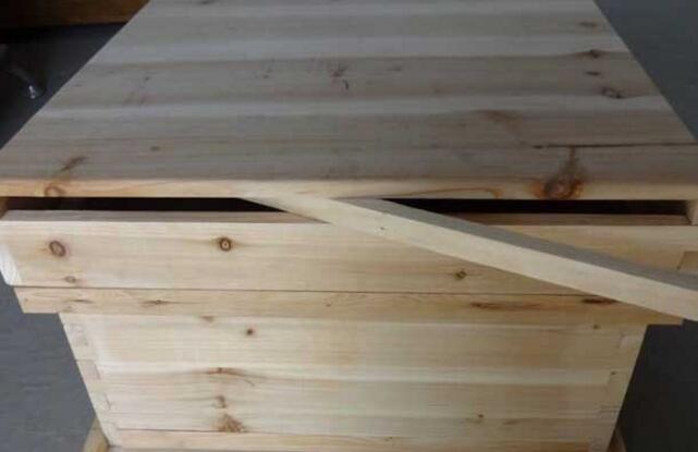 中蜂蜂場和意蜂蜂場區別（蜂箱的形形狀區別）