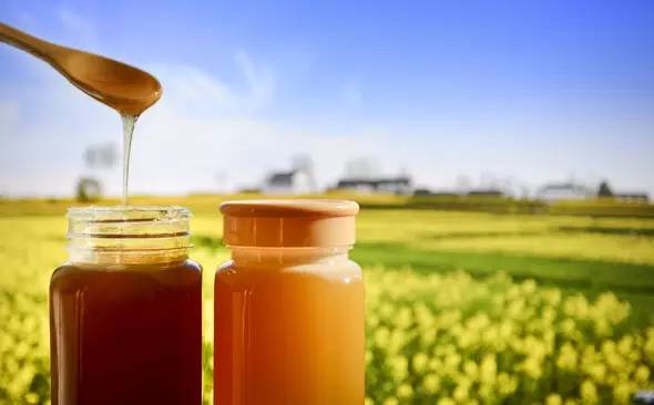市面上的蜂蜜和成熟蜜的區(qū)別（市面上的蜂蜜多為“水蜜”，其營(yíng)養(yǎng)比成熟蜜差多少）