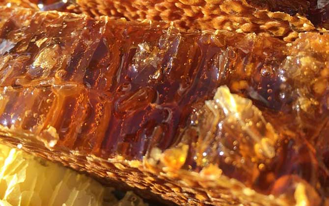 養(yǎng)蜂人怎么打造蜂蜜品牌(怎么做好品牌) 養(yǎng)蜂人怎么打造蜂蜜品牌(怎么做好品牌)