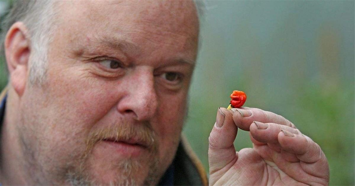 世界上最辣的辣椒叫什么名字(世界上最辣的辣椒排行榜) 世界上最辣的辣椒叫什么名字(世界上最辣的辣椒排行榜)