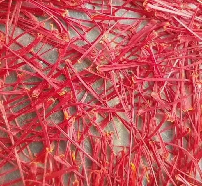 西紅花種子怎么種什么時(shí)候種(西紅花種子的種植方法) 西紅花種子怎么種什么時(shí)候種(西紅花種子的種植方法)