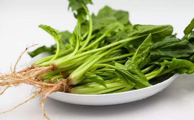 菠菜可以放多久(正確存儲菠菜的方法) 菠菜可以放多久(正確存儲菠菜的方法)