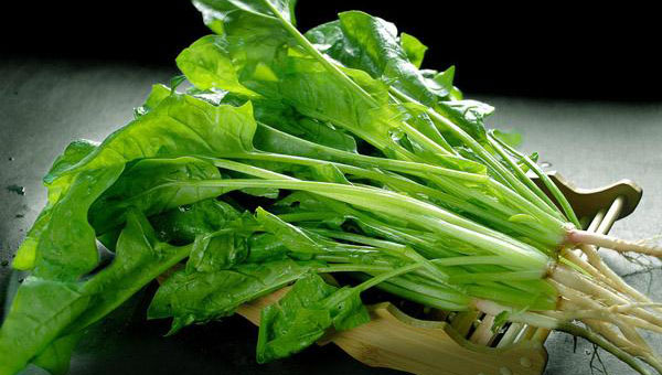 春季適合種什么菜(打造豐富多彩的春季菜園) 春季適合種什么菜(打造豐富多彩的春季菜園)