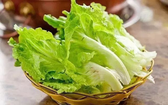 春季適合種什么菜(打造豐富多彩的春季菜園) 春季適合種什么菜(打造豐富多彩的春季菜園)