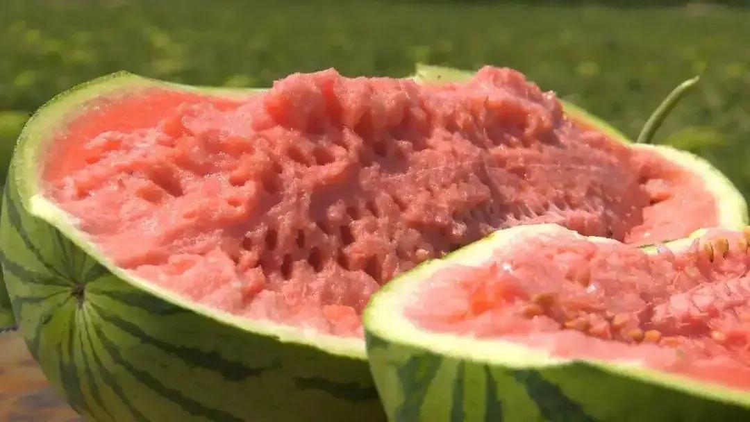 西瓜產(chǎn)地哪里最好(中國10大優(yōu)質(zhì)西瓜產(chǎn)地) 西瓜產(chǎn)地哪里最好(中國10大優(yōu)質(zhì)西瓜產(chǎn)地)