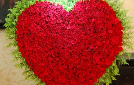 999朵玫瑰代表什么(999朵玫瑰花的寓意和花語) 999朵玫瑰代表什么(999朵玫瑰花的寓意和花語)