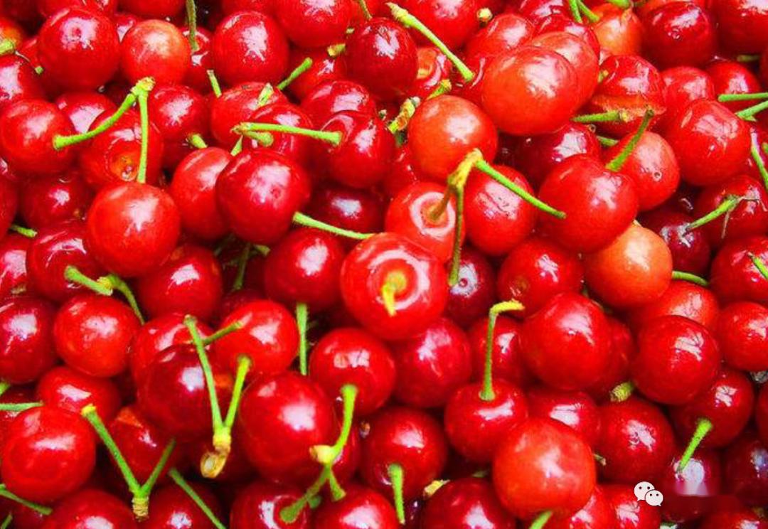 車?yán)遄邮菣烟业囊环N嗎（車?yán)遄雍蜋烟业膮^(qū)別）