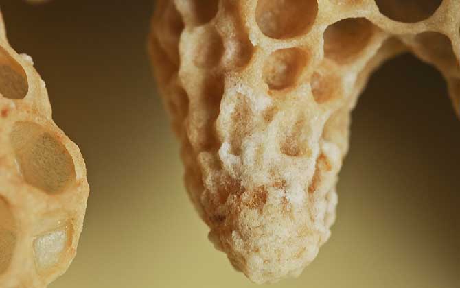 蜜蜂失王后怎樣造王臺(tái)？