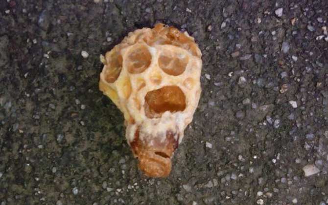 蜜蜂人工育王方法及注意事項(xiàng)